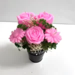 باکس گل شمعی شقایق