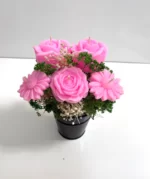 باکس گل شمعی شقایق