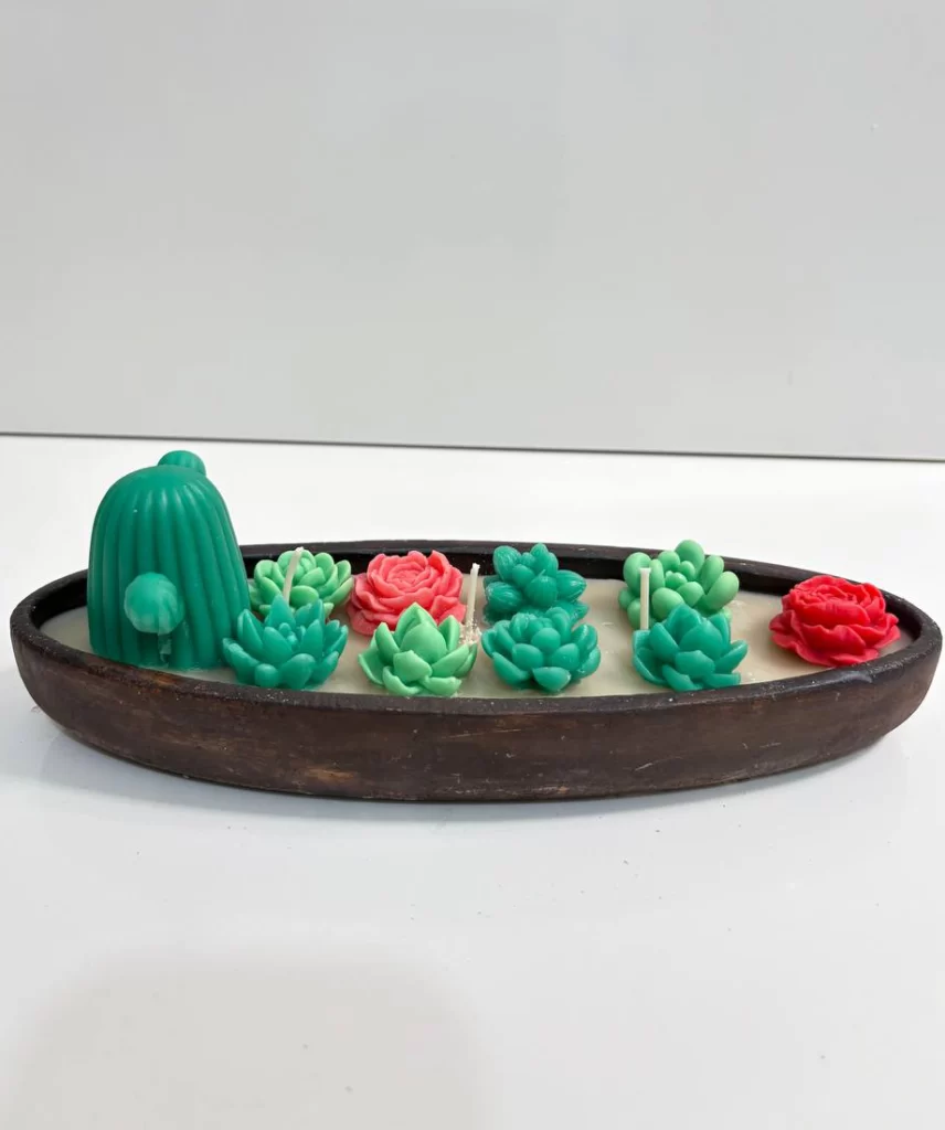 باکس گل شمعی کاکتوس