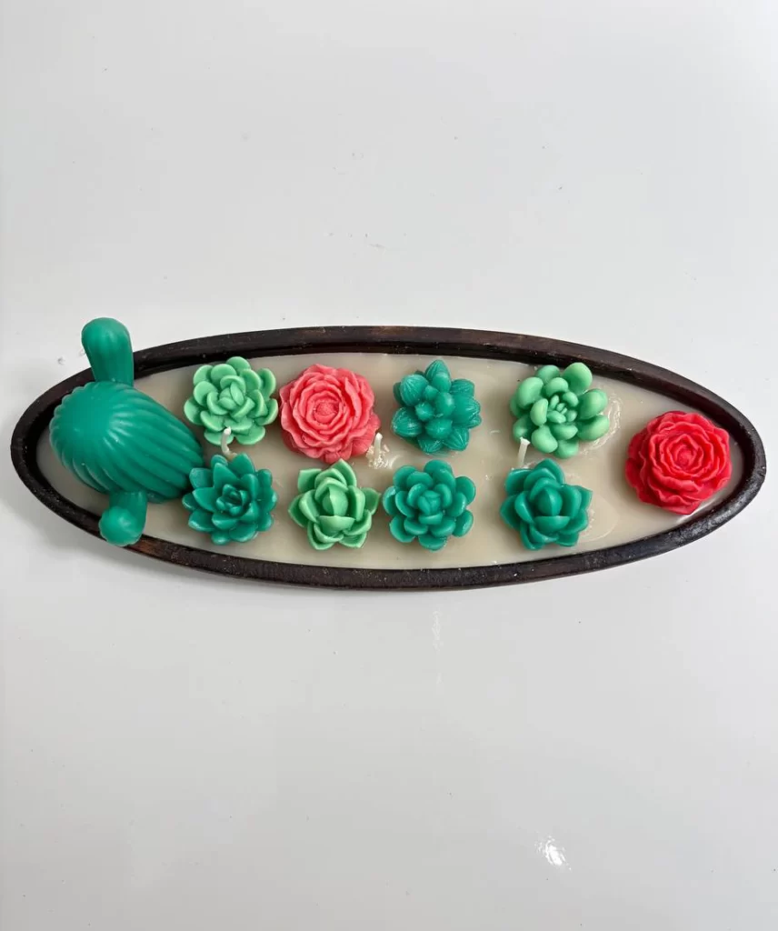 ظرف گل شمعی کاکتوس