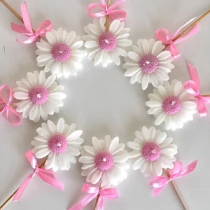 گیفت داوودی شاخه ای