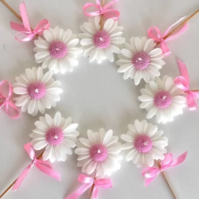 گیفت داوودی شاخه ای